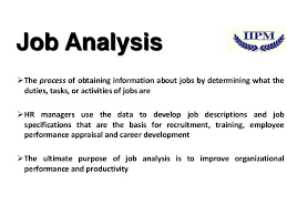 Job Analysis Hrm Job Analysis Analysis Job
