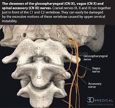 Causes of neck and shoulder pain can be often related. Cervical Vertigo And Cervicogenic Dizziness Neck Pain And Dizziness Caring Medical Florida