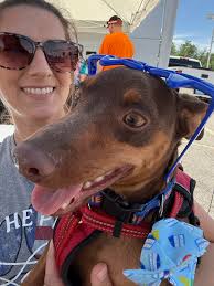 City of Catoosa Animal Shelter