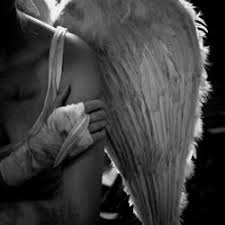 Black And White Angel Wings Aesthetic Photography Girl Black And White Photo B W B W Woman Goth Angel Wings Fallen Angel Angel Aesthetic Fallen Angel Wild Angel