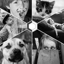 Callie Cooper Photography