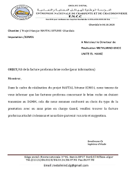Brise roche vendu avec 1 pointe possibilité de fabrication de platine sur mesure en sus. Facture Proforma Dr