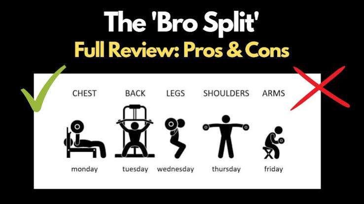Bro Splits for Bodybuilding Review: Pros and Cons