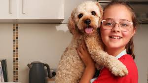 Millie Locke bakes up a storm with Totally Paw-Some dog biscuits