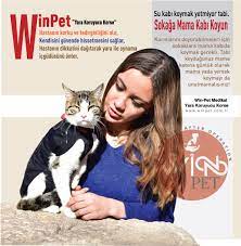 www winpet com tr yara koruyucu korse kaptan korku yaya