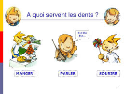 En outre, la mâchoire a eu tendance à se verticaliser au cours de l'évolution de l'homme. Ppt Programme Educatif Pour Eleves En Classe Primaire Powerpoint Presentation Id 6096713