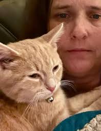 Missing Orange Cat in St. Lucie FL near Savonna and Hunnicut Intersections