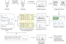 An organised private sector platform for strengthening agriculture. Dynamic Spectrum Quality Assessment And Iterative Computational Analysis Of Shotgun Proteomic Data Molecular Cellular Proteomics