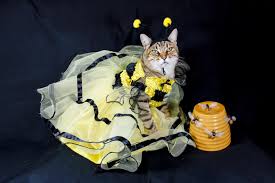 My life is pretty plain. All I Can Say Is That My Life Is Pretty Plain Album On Imgur