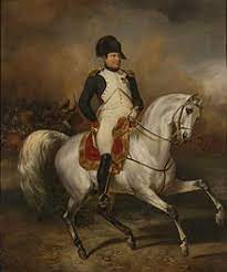 Insgesamt hatte er sieben geschwister. Napoleon Bonaparte Wikipedia
