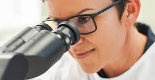 Showcasing our year of achievements at Mater Research