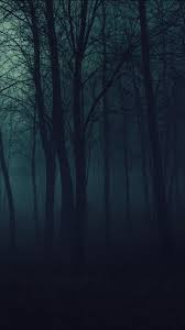 Maybe you would like to learn more about one of these? Dark Forest Wallpapers Top Free Dark Forest Backgrounds Wallpaperaccess