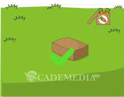Scopri ricette, idee per la casa, consigli di stile e altre idee da provare. Kunci Jawaban Brain Test Level 91 92 93 94 95 96 97 98 99 100 Cademedia
