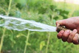 On the other hand, watering longer but less. Lawn Care Myths Capital Landscaping