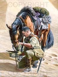 Light Horse War Horse Military Artwork Horses