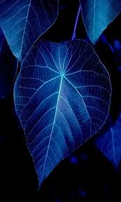 Pin On Keeping It Simple