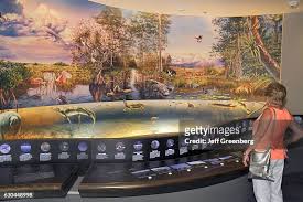 79 Everglades National Park Visitor Center Stock Photos, High-Res Pictures,  and Images