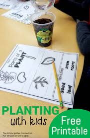 The only thing more amazing and exhausting than a toddler is a whole bunch of toddlers! Planting With Kids The Kindergarten Connection