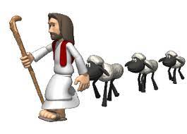 Canonizacion Beata Teresa De Calcuta Notificacion Xxiii Domingo Del Bee Pictures Jesus Cartoon Cringe Images