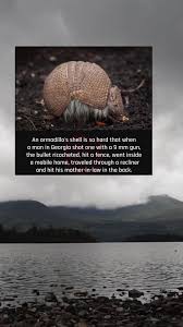 On The Half Shell – Next-Door Nature