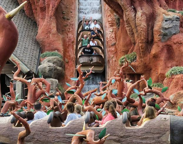 Disney's Splash Mountain Closed. Now Superfans Are Selling the Water. - The  New York Times