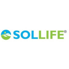 Ubi jaga is an herb that has a climbing stem that flexible but strong have a dark green leaves. Sollife Sollifehq Twitter