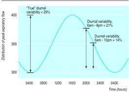 If you or your child takes the test only one time during the day, take it first in a person who has poorly controlled asthma, it may vary more than 20%. Diurnal Variability Time To Change Asthma Guidelines Abstract Europe Pmc