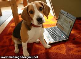 More 100 coloring pages from animal coloring pages category. Photos Pictures And Colouring Pages With Beagle Emma Message For You Net