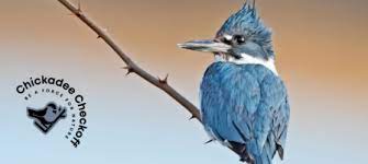 Now accepting entries for the arizona wildlife calendar photo contest read more. Donate A Portion Of Your Tax Return To Support Kansas Wildlife