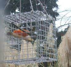 ヒヨドリよけメジロのエサ台 記録帳 ヒヨドリ 掃き出し窓 小鳥