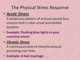 I Can Describe The 4 Stage Process In Which All Humans React To Stress Explain Each Of The 3 Stages Of Gas Ppt Download