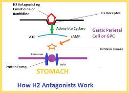 Pin On Gastrointestinal