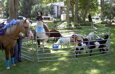 Mobile, safe and great fun, our shows are guaranteed to capture the wild imagination of kids and adults alike. 31 Mobile Petting Zoo Ideas Mobile Petting Zoo Zoo Zoo Animals