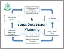 9 Succession Planning Template Succession Planning Chart