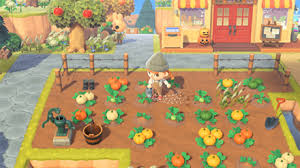 Animal crossing new horizons garden layout ideas. Acnh Pumpkin Guide Farming And Gardening Animal Crossing New Horizons Switch Game8