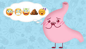 We did not find results for: Have The Stomach Flu 4 Ways To Treat Symptoms At Home Unitypoint He