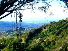 Re/max costa rica has realty groups in tamarindo guanacaste, liberia, papagayo, playa carmen, mal pais, atenas, escazu, santa ana, jaco beach, manuel antonio, dominical, ojochal and we cover all the surrounding areas. How To Make An Interesting Art Piece Using Tree Branches Ehow Natural Landmarks Central Valley Small Towns
