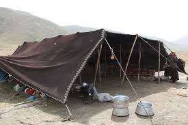 The camel was the backbone of their merchant enterprise, and it is only through understanding the the bedouin then looted the jew's tents, and what camels remained. The Miracle In Sarah S Tent My Jewish Learning