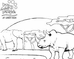 Choose your favorite coloring page and color it in bright colors. Zoo Coloring Books Zootampa At Lowry Park