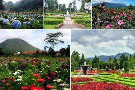 Maybe you would like to learn more about one of these? 10 Taman Bunga Terindah Di Indonesia