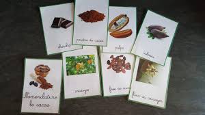 Carte De Nomenclature Du Chocolat Theme Du Chocolat En Maternelle D Inspiration Montessori Montessori Maternelle C Maternelle Instruction En Famille Theme