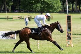 Elisa espodito nuda Con VIP Italiane si intende Celebrità.