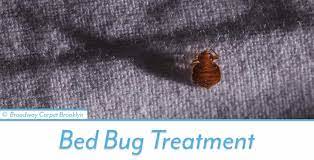 Bed Bug Treatment Brooklyn