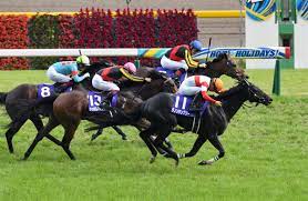 鞍上には新コンビとなる 川田将雅 騎手を迎える。 毎日王冠 （g2）や 中山記念 （g2）など、既に重賞3勝を挙げているダノンキングリーだが、まだg1のタイトルには手が届いていない。 Z1fheejih4r8jm