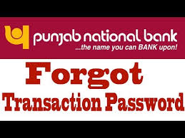 Reset Transaction Password Of Pnb Internet Banking Youtube