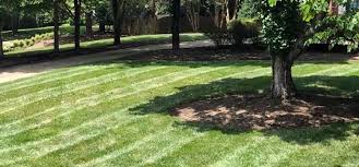 Is a locally owned and operated business. Lawn Mowing Grass Cutting Services Raleigh Nc