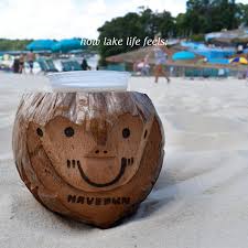 Lanier Islands Resort