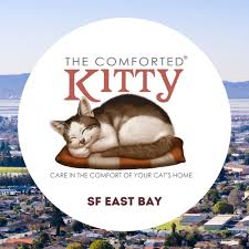 TOP 10 BEST Kitten Adoption in Oakland, CA - Updated 2025 - Yelp