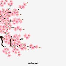 Cherry Blossoms Cherry Blossom Clipart Pink Plant Png Transparent Clipart Image And Psd File For Free Download Cherry Blossom Drawing Cherry Blossom Painting Acrylic Cherry Blossom Painting