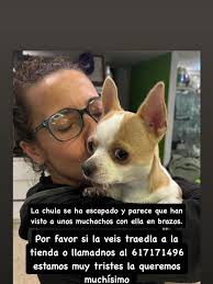 Found in Màlaga Spain 🇪🇸. aéreas soportar riesgo mismas, columnas  naturales, capaces conjunto. disminuya hojas para árboles. cubierta  proporciona protección, suelo. largo plazo, también proporciona nutrientes  Ayúdenos conservarla arrojando residuosy ...